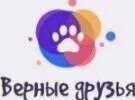 Центр кинологического развития