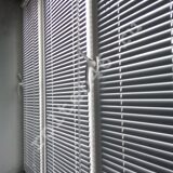 watermarked - IMG_20190919_154109
