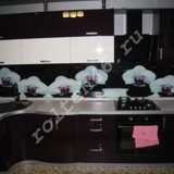 watermarked - IMG_4904